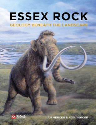 Book cover for Essex Rock