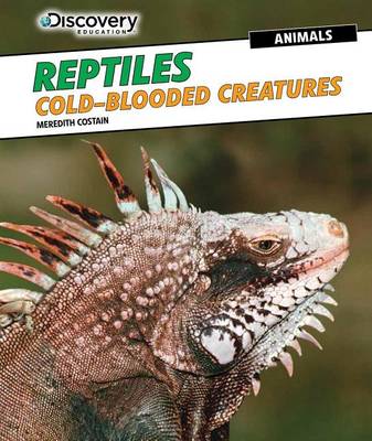 Cover of Reptiles: Cold-Blooded Creatures