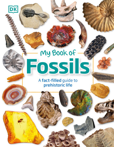 Cover of My Book of Fossils