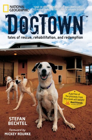 Book cover for DogTown