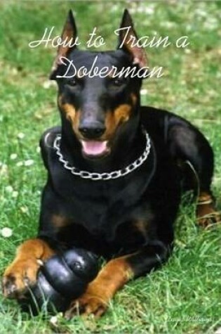 Cover of How to Train a Doberman