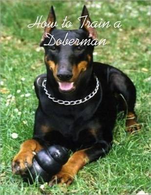 Book cover for How to Train a Doberman