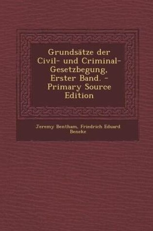 Cover of Grundsatze Der Civil- Und Criminal-Gesetzbegung, Erster Band.
