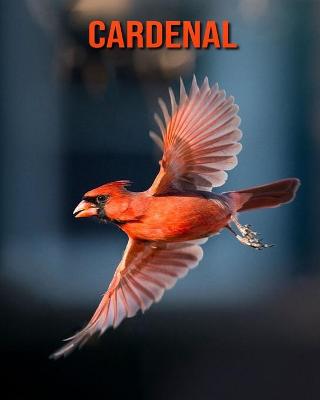 Book cover for Cardenal