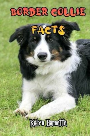 Cover of Border Collie Facts