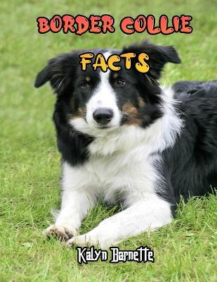 Book cover for Border Collie Facts