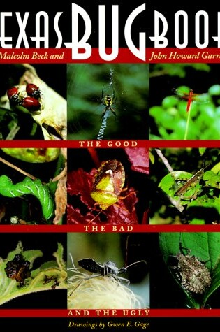 Cover of Texas Bug Book