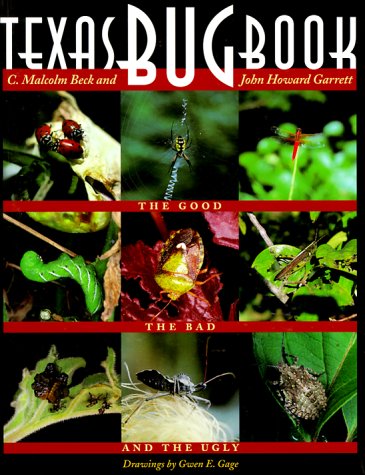 Book cover for Texas Bug Book