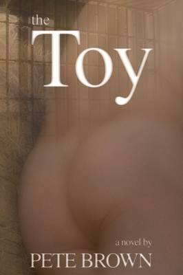 Book cover for The Toy