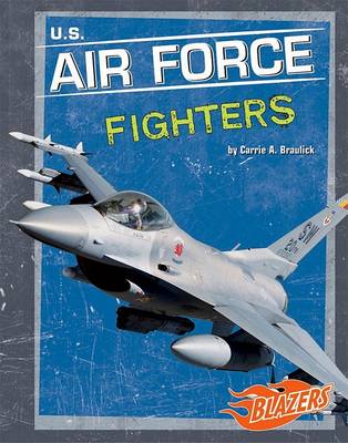 Book cover for U.S. Air Force Fighters