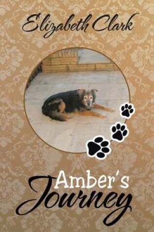 Cover of Amber's Journey