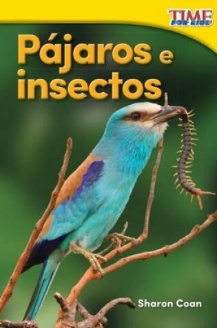 Cover of P jaros e insectos (Birds and Bugs)