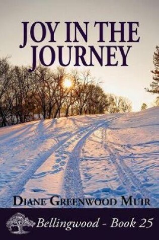 Cover of Joy in the Journey