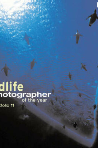 Cover of Wildlife Photographer Of The Year Portfolio 11