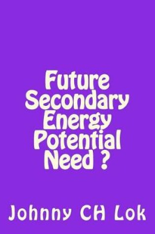 Cover of Future Secondary Energy Potential Need ?