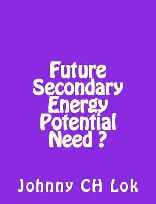 Book cover for Future Secondary Energy Potential Need ?