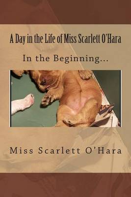 Book cover for A Day in the Life of Miss Scarlett O'Hara