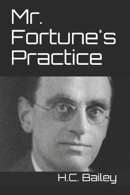 Book cover for Mr. Fortune's Practice