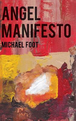 Book cover for Angel Manifesto