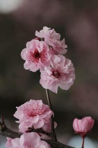 Cover of Sakura Cherry Blossoms Journal
