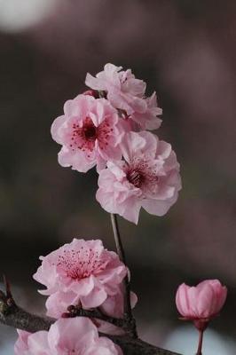 Book cover for Sakura Cherry Blossoms Journal