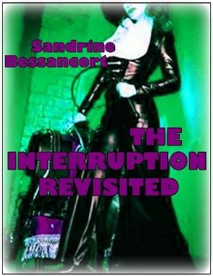 Book cover for The Interruption Revisited