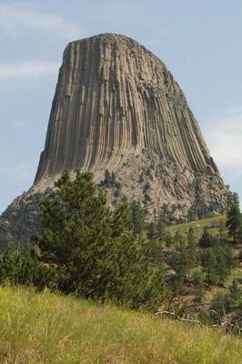 Book cover for Devil's Tower National Monument Journal