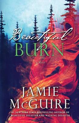 Book cover for Beautiful Burn