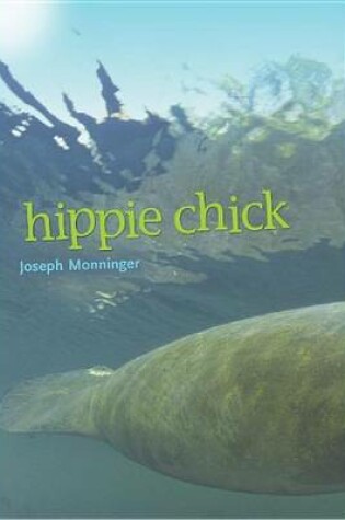 Cover of Hippie Chick