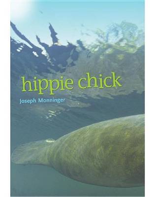 Book cover for Hippie Chick