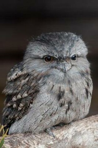 Cover of Tawny Frogmouth Bird Chick Journal