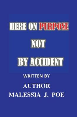 Book cover for Here on Purpose Not by Accident