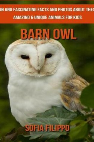 Cover of Barn Owl