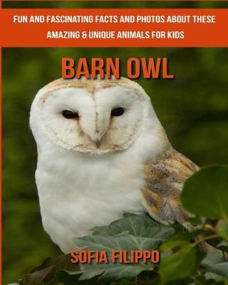 Book cover for Barn Owl