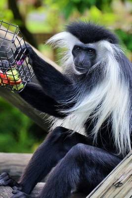 Book cover for Black and White Colobus Monkey Journal