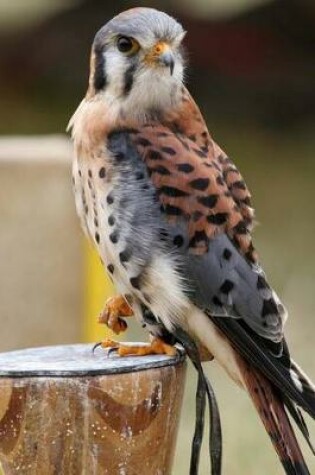 Cover of American Kestrel Journal