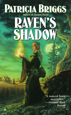 Book cover for Raven's Shadow