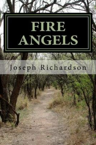 Cover of Fire Angels