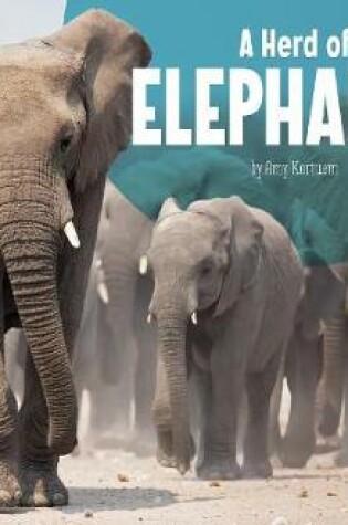 Cover of A Herd of Elephants (Animal Groups)