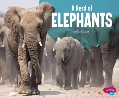 Book cover for A Herd of Elephants (Animal Groups)