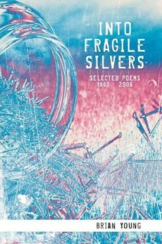 Cover of Into Fragile Silvers