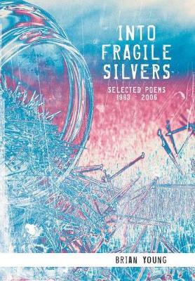 Book cover for Into Fragile Silvers
