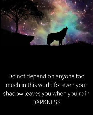 Cover of Do not depend on anyone too much, even your shadow leaves you when you're in darkness