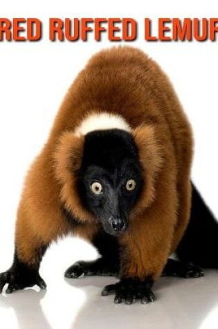 Cover of Red Ruffed Lemur