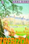 Book cover for The Tennis Term at Trebizon