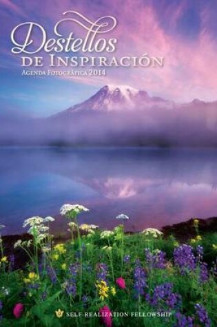 Cover of Inner Reflections Engagement Calendar 2014 (Spanish)