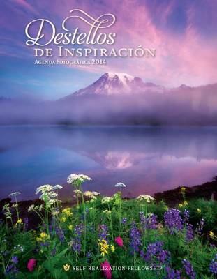 Book cover for Inner Reflections Engagement Calendar 2014 (Spanish)