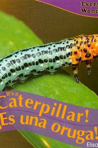 Cover of It's a Caterpillar! / ¡Es Una Oruga!