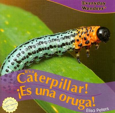 Cover of It's a Caterpillar! / ¡Es Una Oruga!