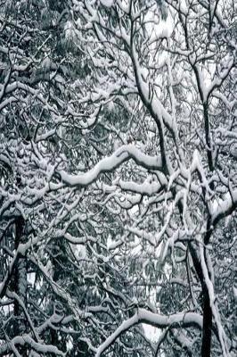 Book cover for Journal Twisted Winter Branches With Snow